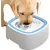 ZooVenture GranCapacité gamelle flottante pour chien et chat ZooVenture GranCapacité gamelle flottante pour chien et chat