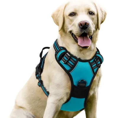 Petopia Harnais anti - traction pour chien moyen et grand