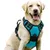 Petopia Harnais anti - traction pour chien moyen et grand Petopia Harnais anti - traction pour chien moyen et grand