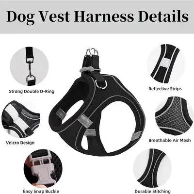 Petopia Harnais réglable pour chien de petite taille