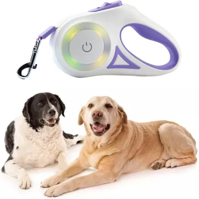 Petopia Laisse rétractable pour chien avec lumière LED Petopia Laisse rétractable pour chien avec lumière LED