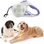 Petopia Laisse rétractable pour chien avec lumière LED Petopia Laisse rétractable pour chien avec lumière LED