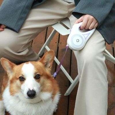 Petopia Laisse rétractable pour chien avec lumière LED