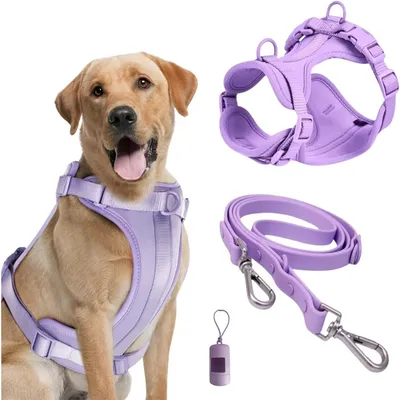 Pet Planet Ensemble Harnachement et Laisse pour Chien Pet Planet Ensemble Harnachement et Laisse pour Chien