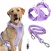 Pet Planet Ensemble Harnachement et Laisse pour Chien