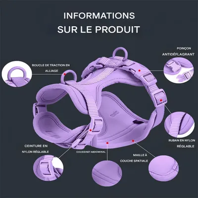 Pet Planet Ensemble Harnachement et Laisse pour Chien