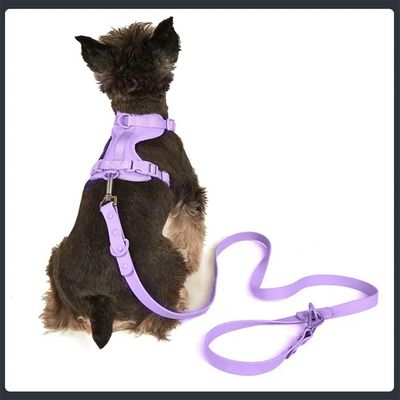 Pet Planet Ensemble Harnachement et Laisse pour Chien