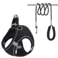 Petopia Harnais réglable pour chien de petite taille