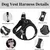 Petopia Harnais réglable pour chien de petite taille