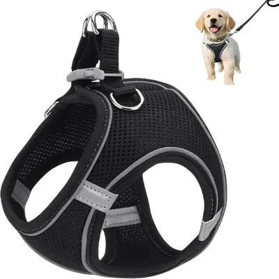 Petopia Harnais réglable pour chien de petite taille