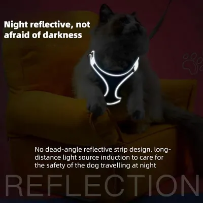 Petopia Harnais réglable pour chien de petite taille