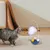 Pet Planet Chats Jouet interactif avec plume