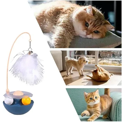 Pet Planet Chats Jouet interactif avec plume
