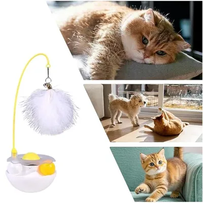 Pet Planet Chats Jouet interactif avec plume