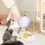 Pet Planet Chats Jouet interactif avec plume