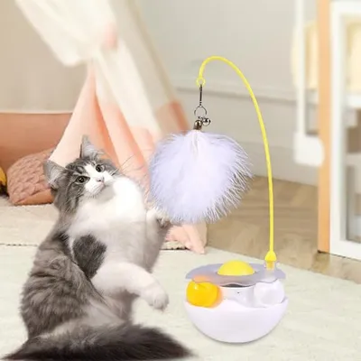 Pet Planet Chats Jouet interactif avec plume