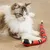Jouet serpent électrique pour chat