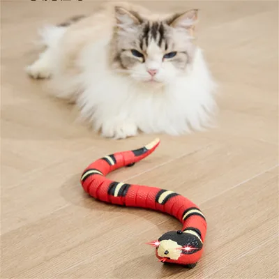 Jouet serpent électrique pour chat