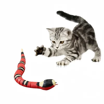 Jouet serpent électrique pour chat