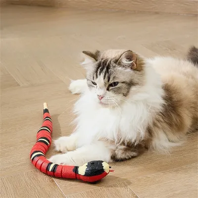 Jouet serpent électrique pour chat