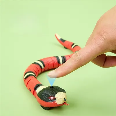 Jouet serpent électrique pour chat
