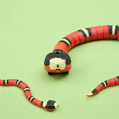Jouet serpent électrique pour chat