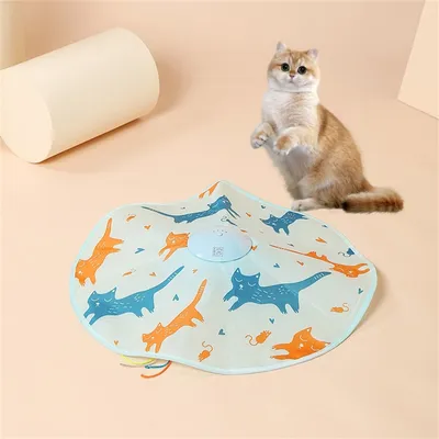 Pet Planet Jouet pour chat: Disque rotatif électrique avec baguette