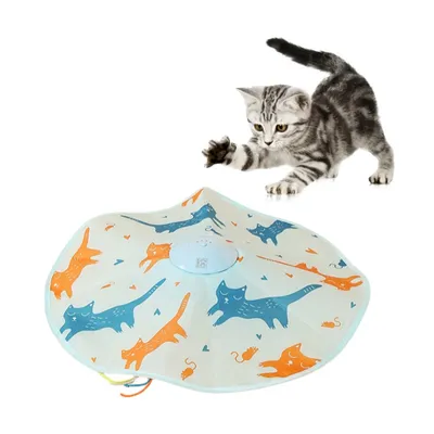 Pet Planet Jouet pour chat: Disque rotatif électrique avec baguette