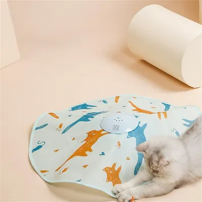 Pet Planet Jouet pour chat: Disque rotatif électrique avec baguette