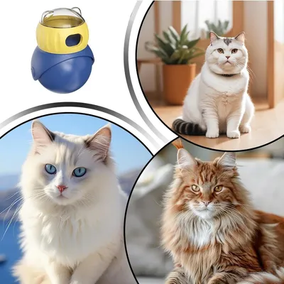 Petopia  Jouets pour chats, balles à collation
