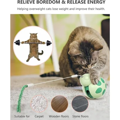 Pet Planet Chats Jouet interactif