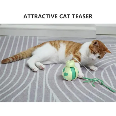 Pet Planet Chats Jouet interactif