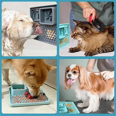 Pet Planet Tapis à lécher assiette Slow Food