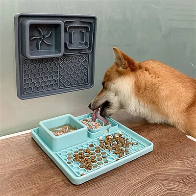 Pet Planet Tapis à lécher assiette Slow Food