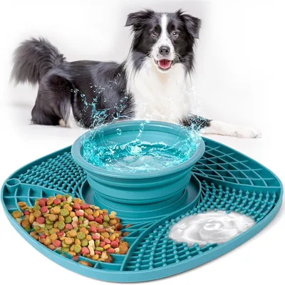 Pet Planet Cuenco plegable para lamer perros