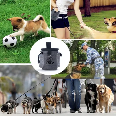 Pet Planet Bolsa multifuncional para el adiestramiento de perros