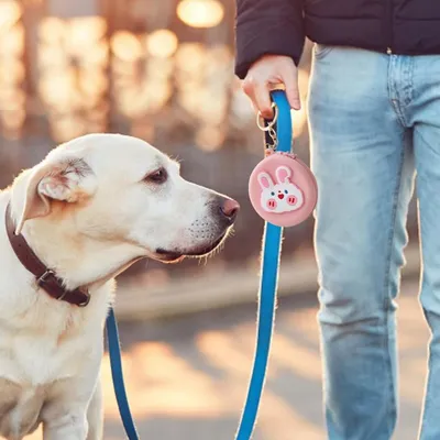 Petopia Sac à friandises en silicone pour chien