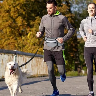 ZooVenture Étanche Portable Sac Friandises Chien