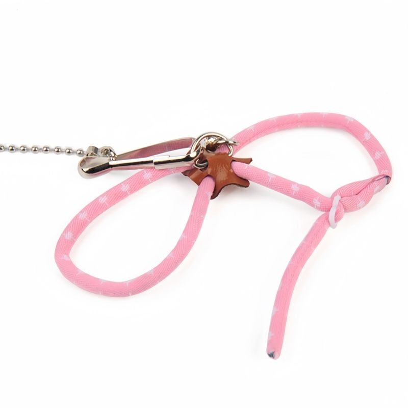 FurryFusion Laisse pour petits animaux