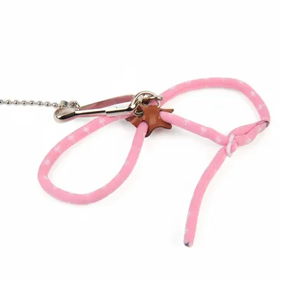 FurryFusion Laisse pour petits animaux