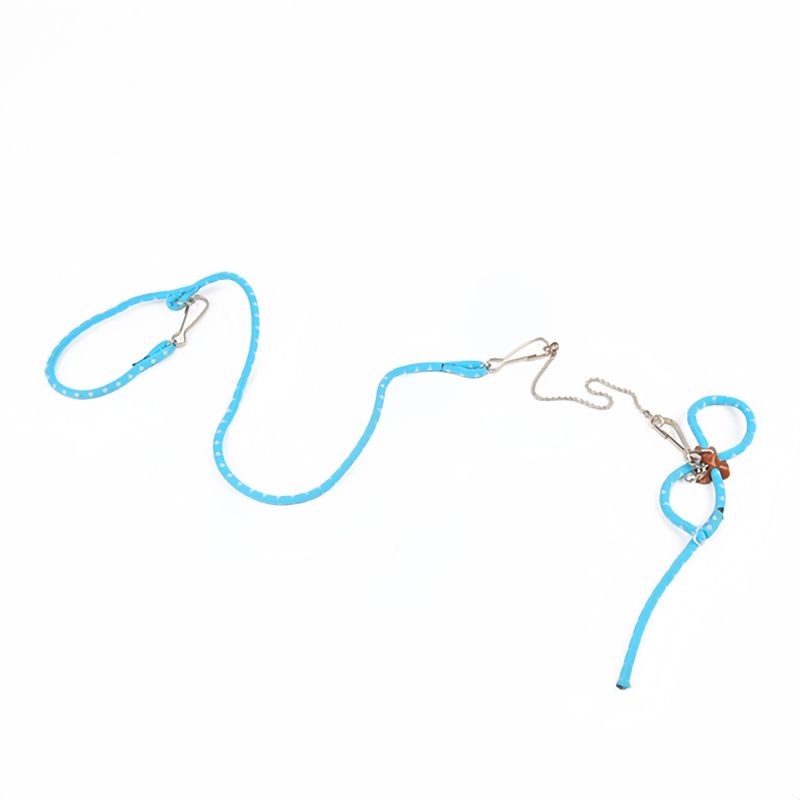 FurryFusion Laisse pour petits animaux
