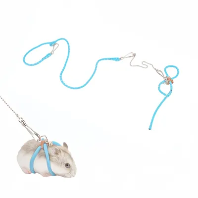 FurryFusion Laisse pour petits animaux FurryFusion Laisse pour petits animaux