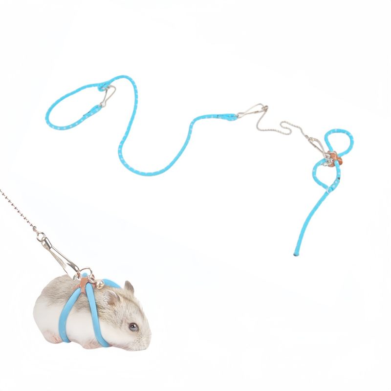 FurryFusion Laisse pour petits animaux