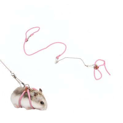 FurryFusion Laisse pour petits animaux