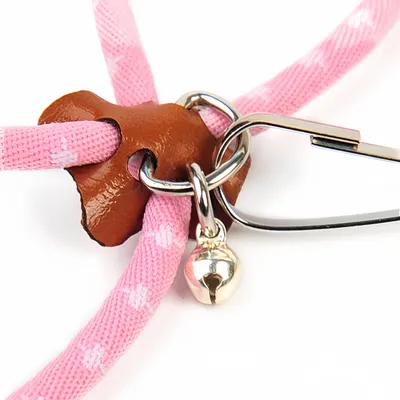 FurryFusion Laisse pour petits animaux