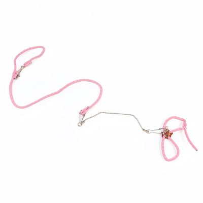 FurryFusion Laisse pour petits animaux