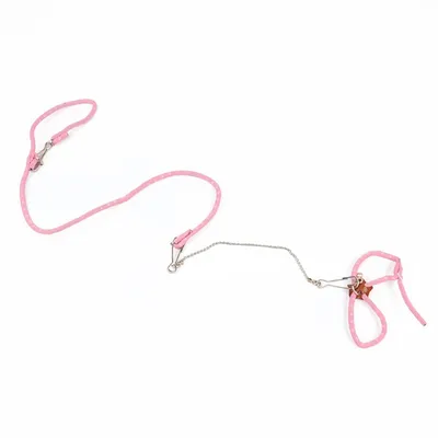 FurryFusion Laisse pour petits animaux