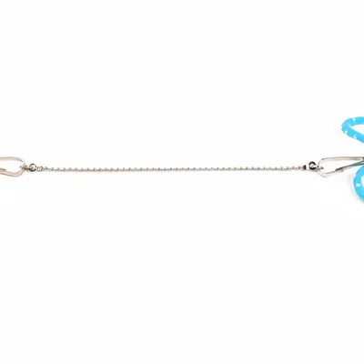 FurryFusion Laisse pour petits animaux