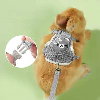 Petopia Harnais avec laisse pour lapin et petits animaux