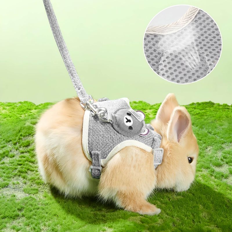 Petopia Harnais avec laisse pour lapin et petits animaux